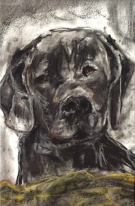 Sort hund er en tegning med pastelkridt på papir