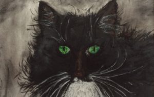Katte fra Horsens er et indlæg om Tiger og Pjuske, som er titlerne på kattetegninger